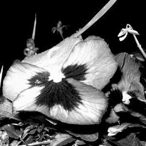 Meet your Posher, Madelyn